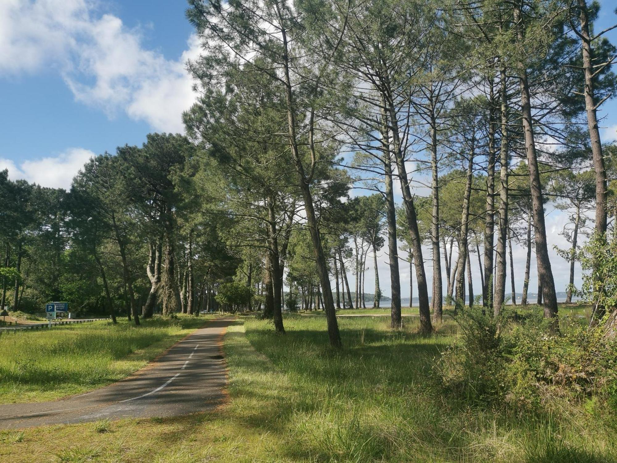 Appartements Au Coeur Du Golf, Proche Du Lac Et Velodyssee Biscarrosse Exterior foto